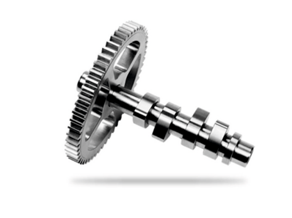 Spur Gear